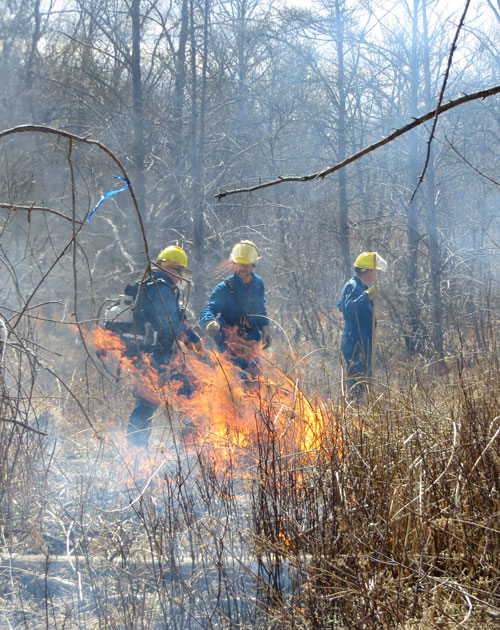 Prescribed-burn-Matthaei-Nichols